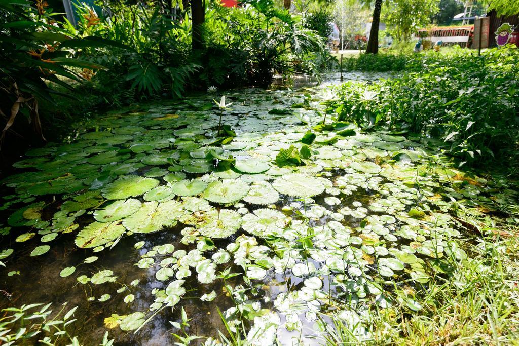 Fairy Story Village Farm B&B Донгшан Екстериор снимка